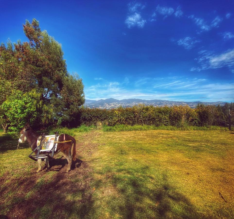Cabana Agrreste (Adults Only) Немокон Экстерьер фото