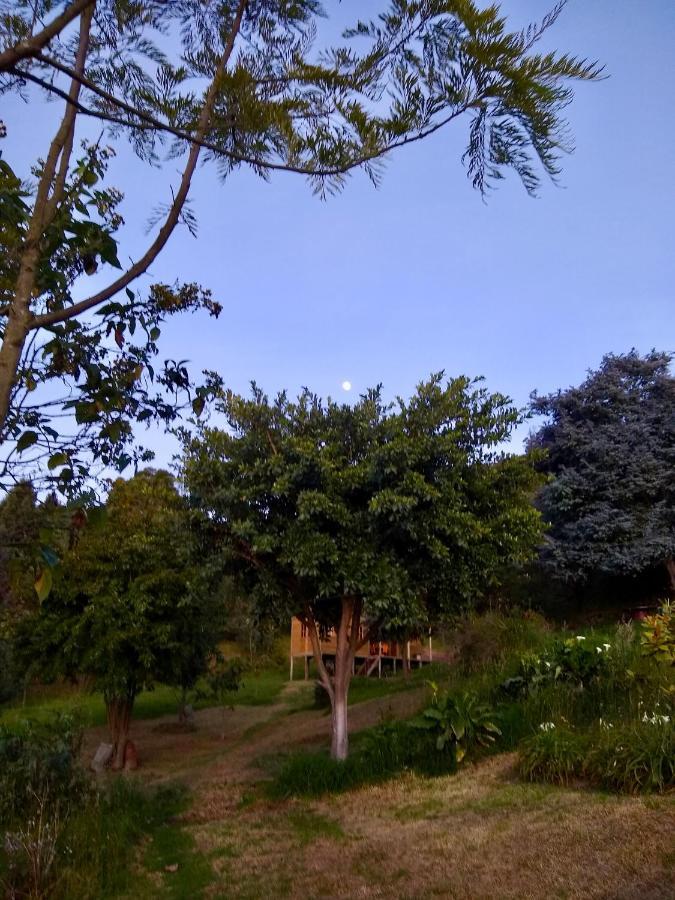 Cabana Agrreste (Adults Only) Немокон Экстерьер фото